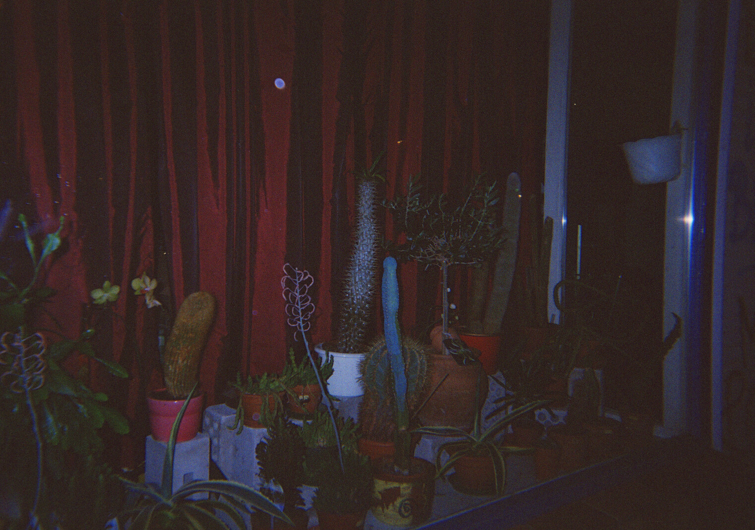 Backstage, diary