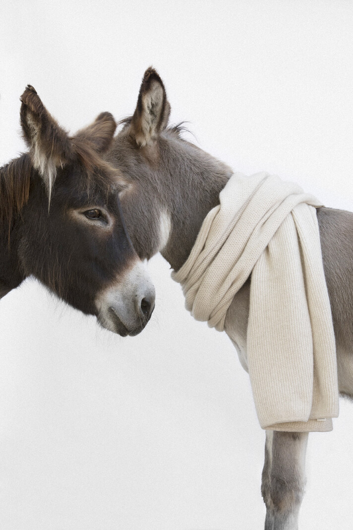 Christina Kraemer Cashmere
